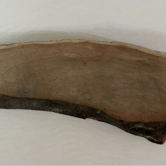 Small Polished Petrified Wood Full Slab w Bark 7 1/x 21/2” x 1/2” 10.3 oz. - Picture 2 of 5